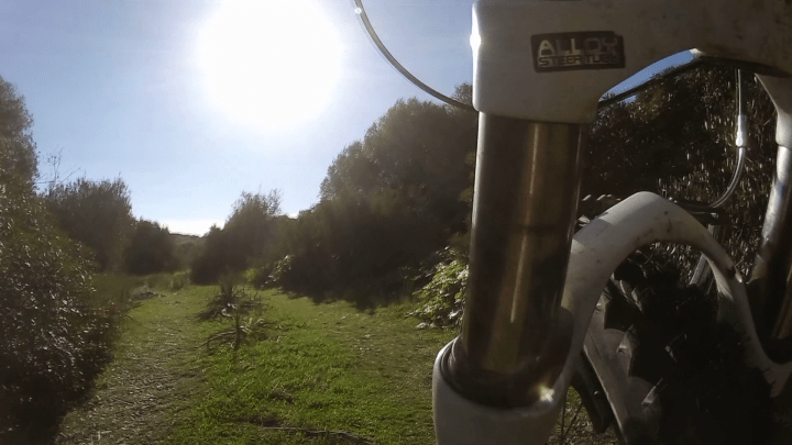 vlcsnap-2019-02-21-08h53m03s540