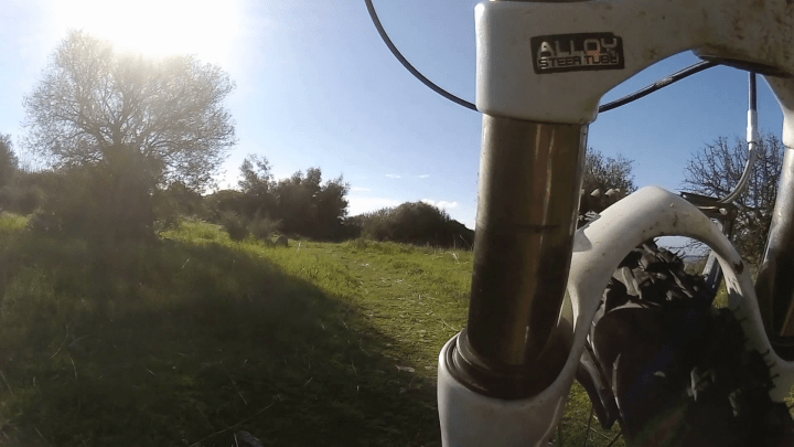 vlcsnap-2019-02-21-08h54m08s015