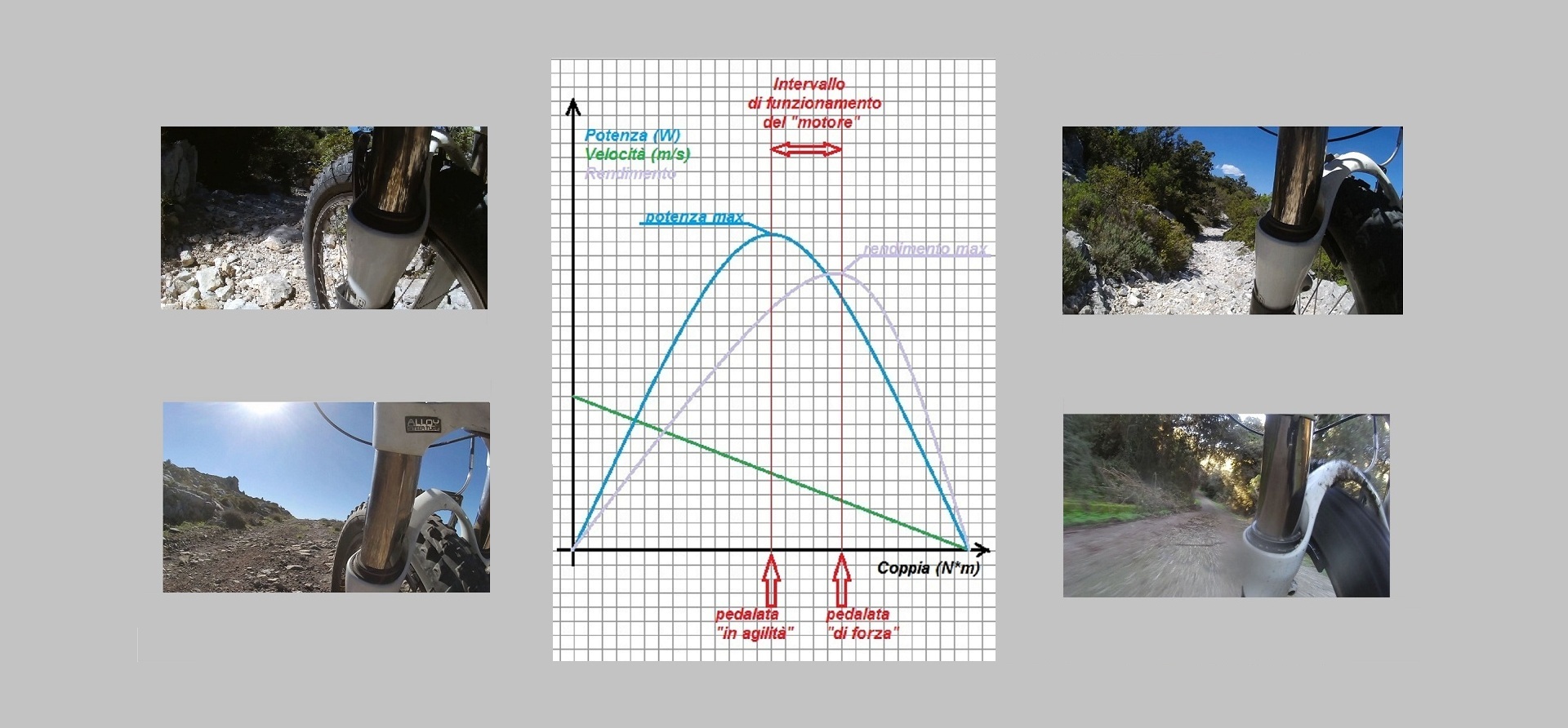 curve caratteristiche 4