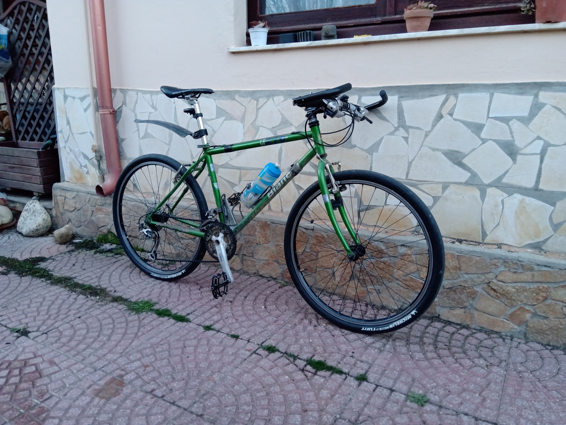 IMG_20240225_181153m